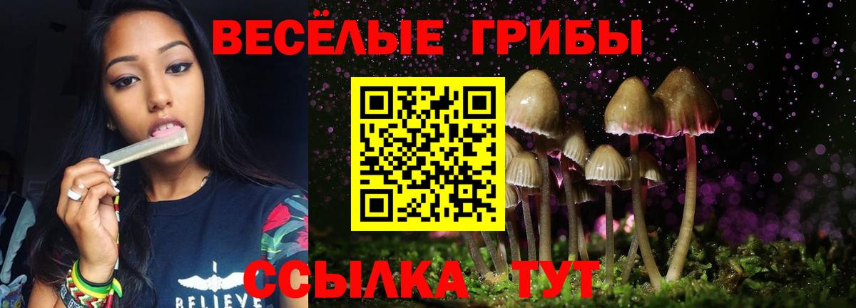 Псилоцибиновые грибы мухоморы  Псилоцибиновые грибы MAGIC MUSHROOMS  цена   Мичуринск  Вход с VPN 